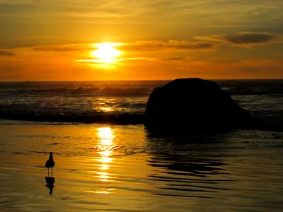 Hug Point at Pacific Coast in OR