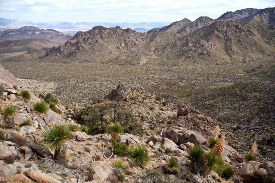 Kingston Range Wilderness