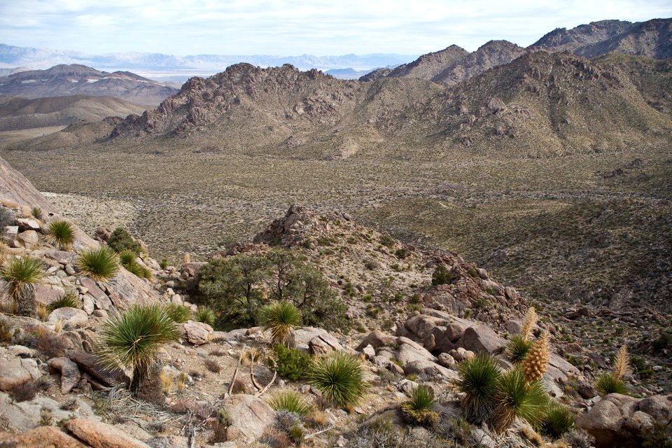 Kingston Range Wilderness photo