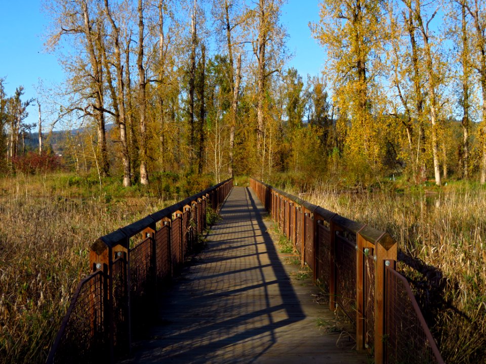 Autumn at Steigerwald Lake NWR in WA