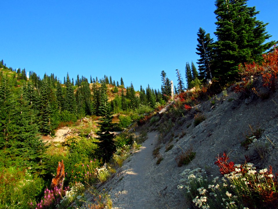 Mt. Margaret Backcountry in WA