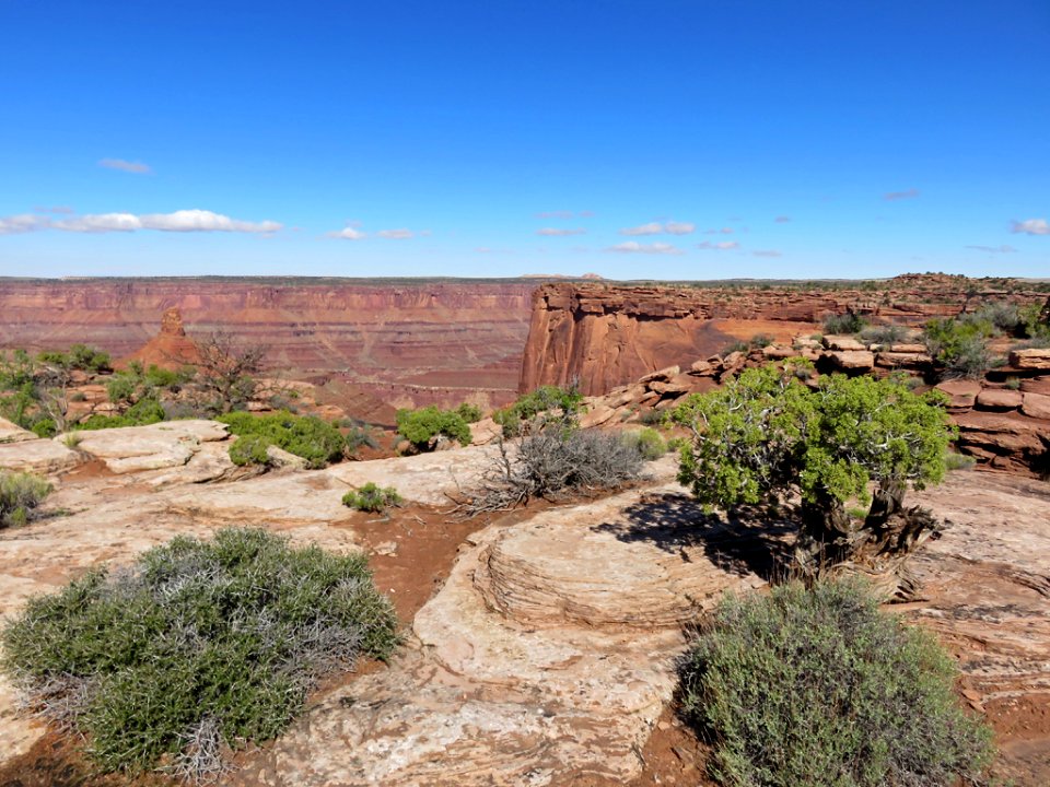 Dead Horse Point SP in UT
