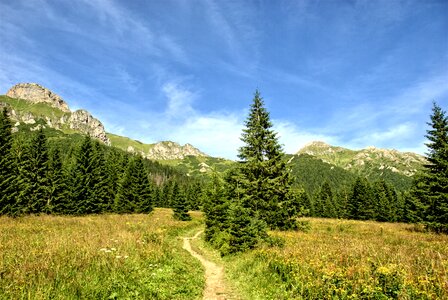 Top view mountains view photo