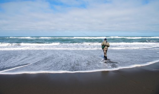 Mike Thompson Wildlife Area, South Spit Humboldt Bay