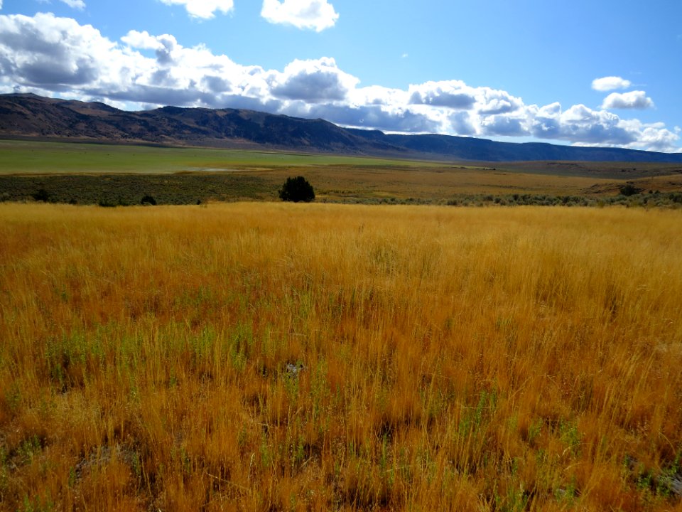 Overlooking Calcutta Lake, Applegate Field Office
