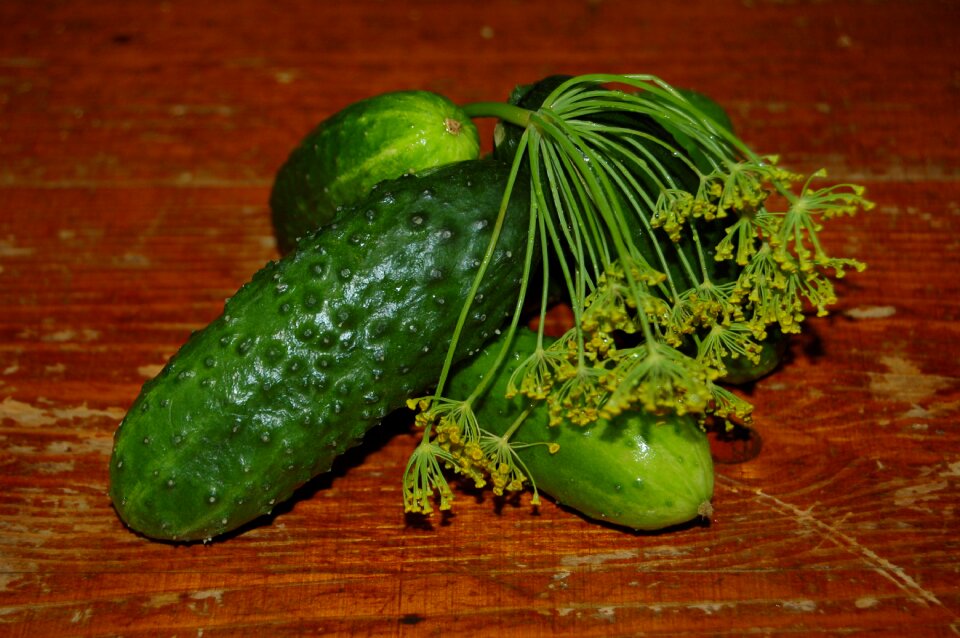 Cucumber food dacha