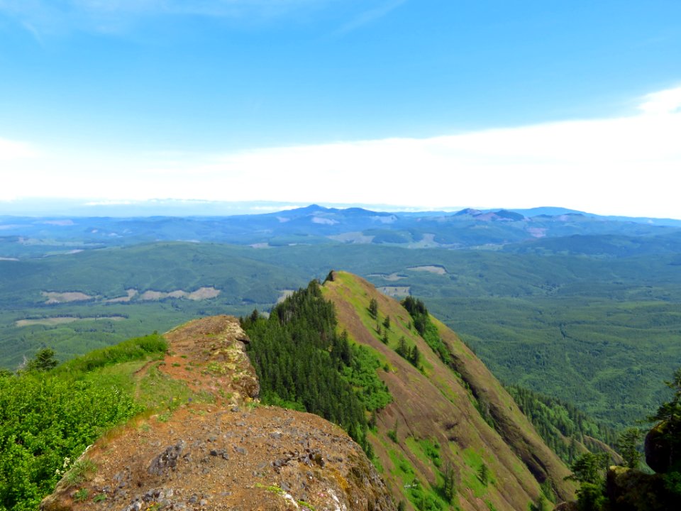 Saddle Mountain Trail in OR