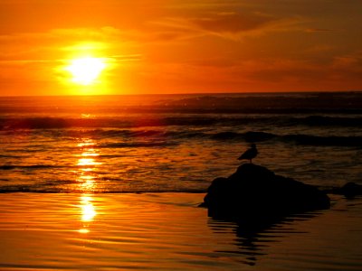 Hug Point at Pacific Coast in OR