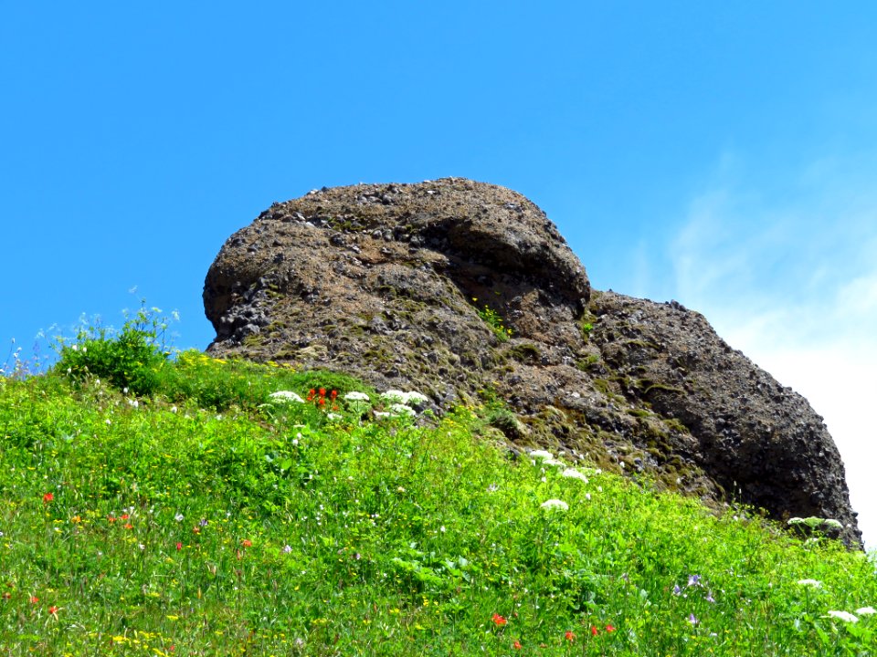 Saddle Mountain Trail in OR