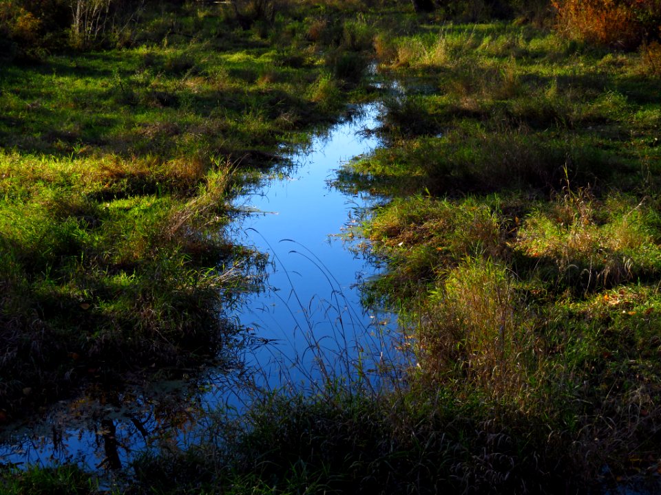 Autumn at Steigerwald Lake NWR in WA