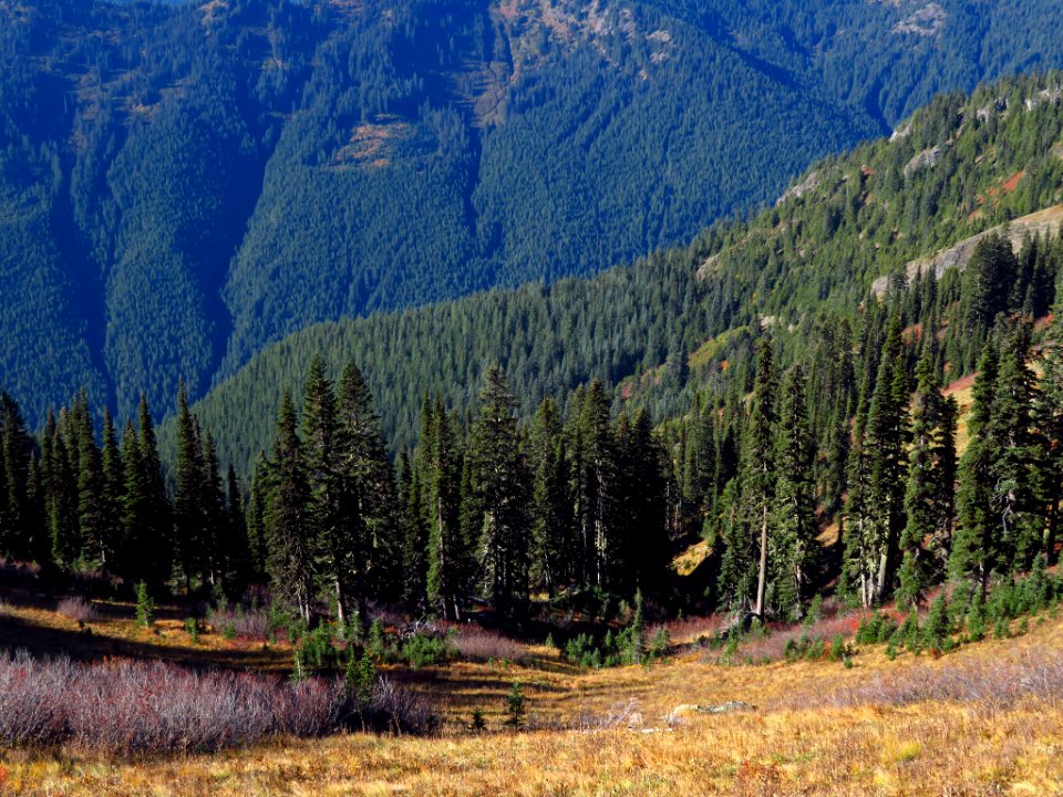 Tatoosh Ridge in WA