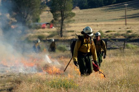 WINNER: Jorge Pacheco of Folsom Lake Veterans' Crew at Clear Creek, Central California Field Office