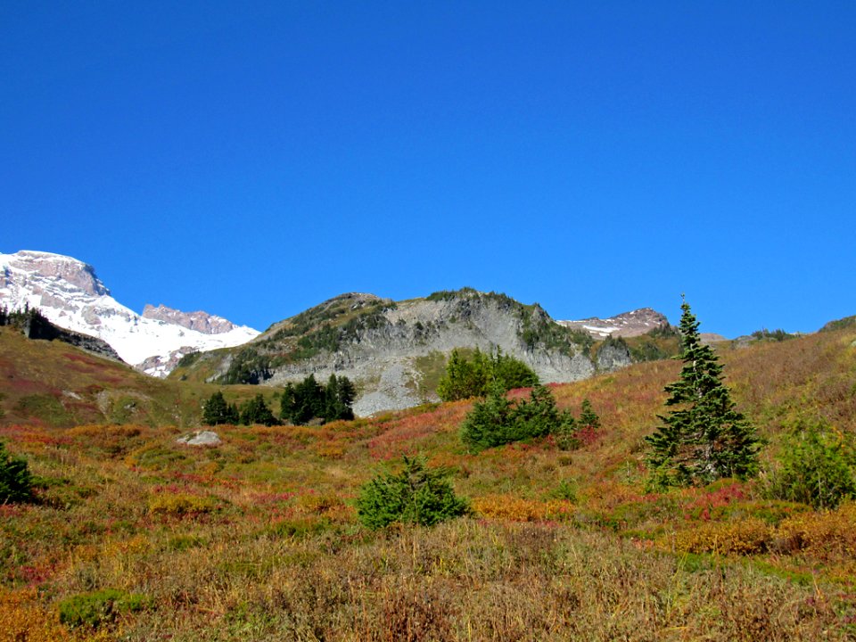 Autumn at Skyline Trail at Mt. Rainier NP in WA