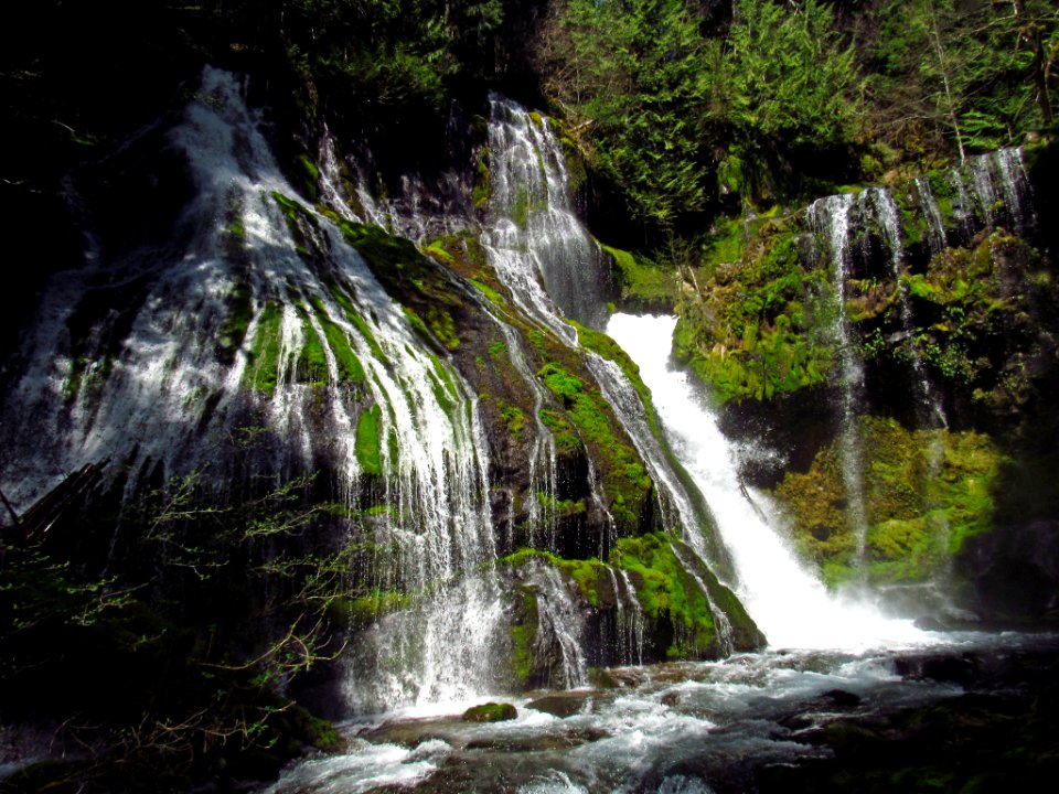 Panther Creek Falls Trail in WA
