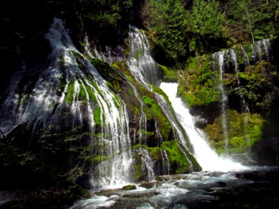 Panther Creek Falls Trail in WA photo
