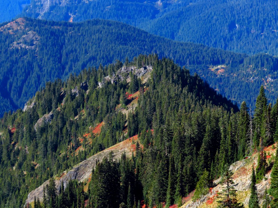 Tatoosh Ridge in WA