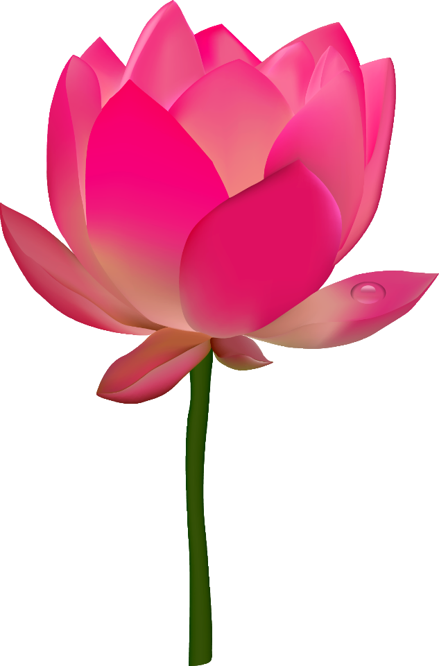 Beautiful Vector  Flower - Illustrator Project