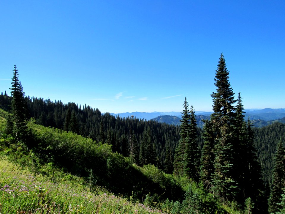 Tatoosh Wilderness in WA