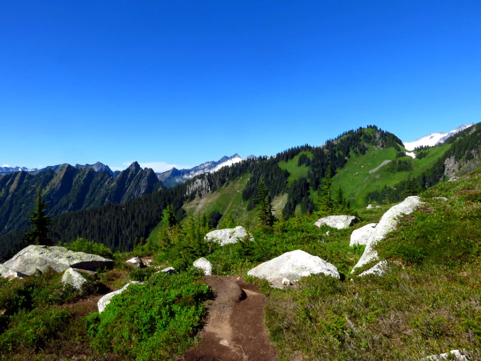 Hidden Lake Trail at North Cascades NP in WA