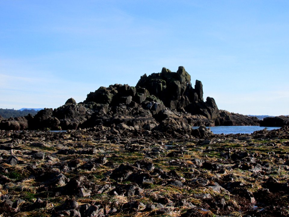 Tidal Pool at Yaquina Head in OR