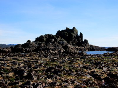 Tidal Pool at Yaquina Head in OR