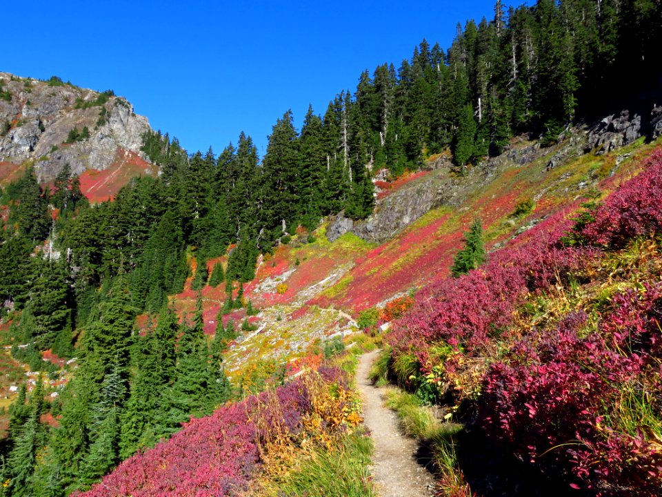 Autumn at Yellow Aster Butte in WA