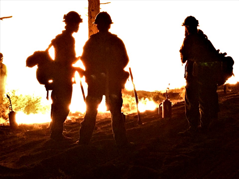 WINNER: Inyo National Forest Springs Fire, Palm Springs Field Office
