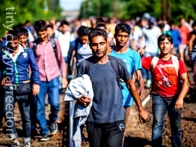 Syrian Refugees