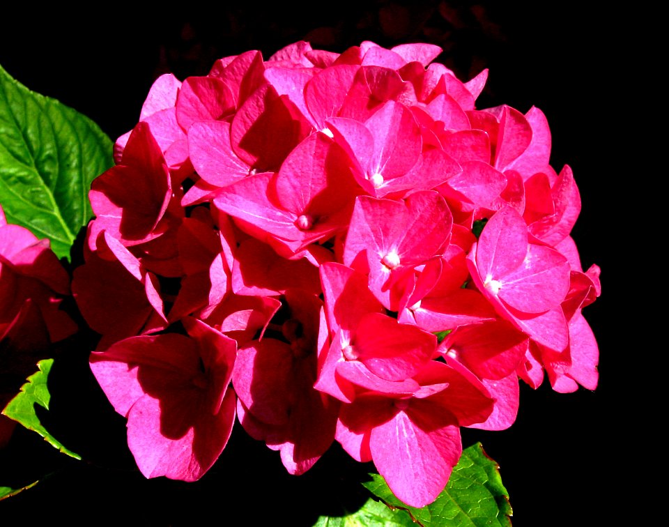 2007 08 02 012-1