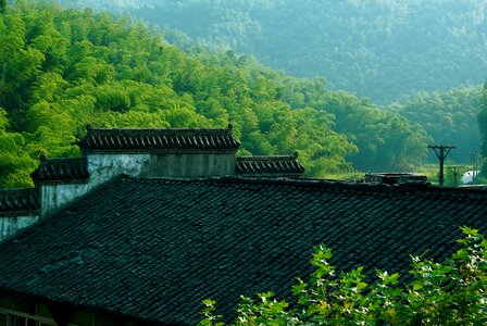 Bamboo sichuan houses tile-roofed house