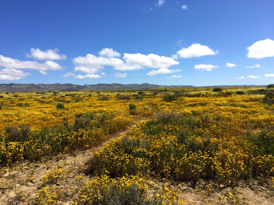 Carrizo Plain National Monument in Bakersfield Field Office