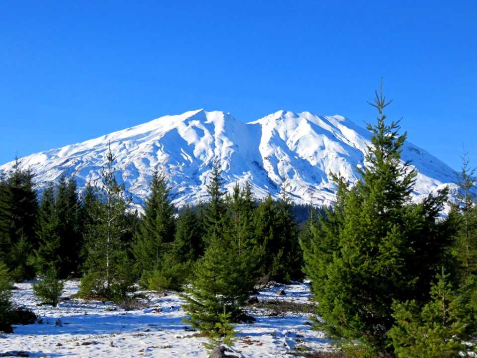 Mt. St. Helens at Lahar in WA