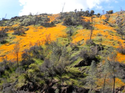 Merced Hillside