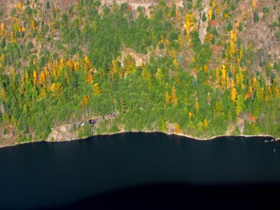 Coldwater Lake Loop Trail in WA