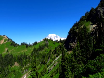 Mt. Rainier on Tatoosh Peak Trail in WA