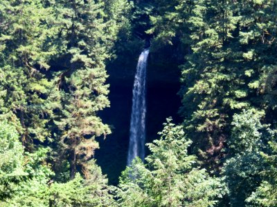 Silver Falls SP in OR