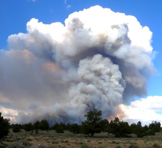 Fire Restrictions