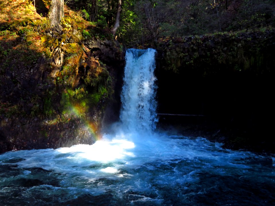 Spirit Falls Trail on Little White Salmon River in WA photo