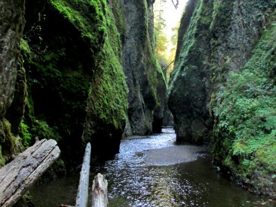 Oneonta Gorge at Columbia River Gorge in OR