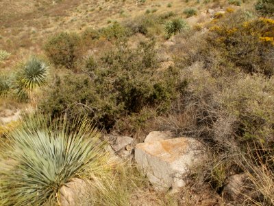 PA190005