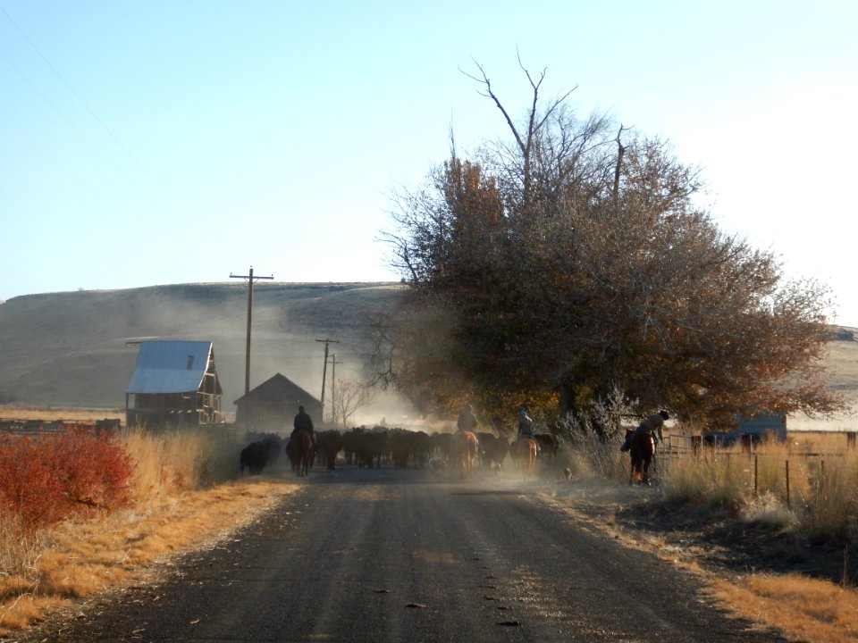 Traffic, Applegate Field Office