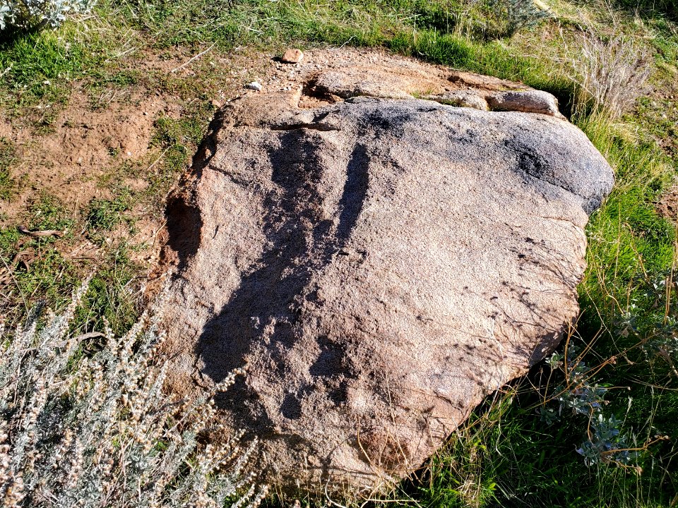 Petroglyph, Palm Springs Field Office