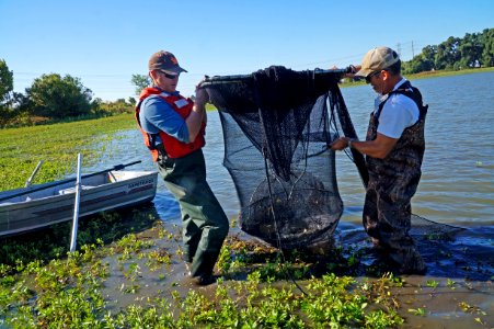 WINNER: Cosumnes River Preserve Fish Surveys, Mother Lode Field Office