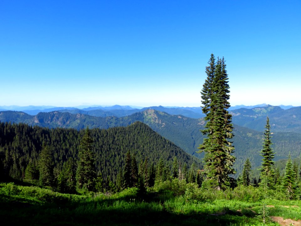 Tatoosh Peak Trail in WA