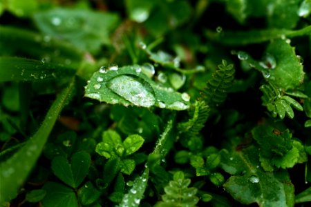 My first steps with the sigma 105mm macro lens