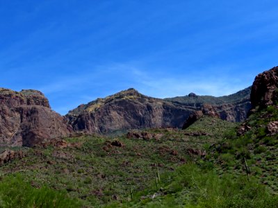 Organ Pipe Cactus NM in AZ