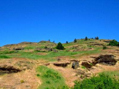 Labyrinth-Coyote Wall Trail in WA
