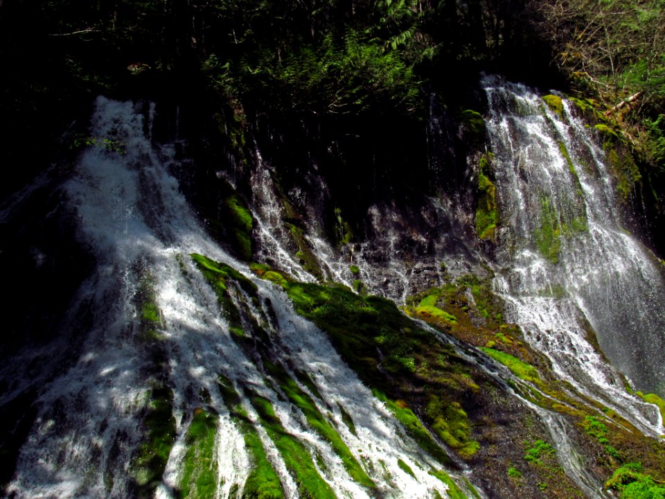 Panther Creek Falls Trail in WA