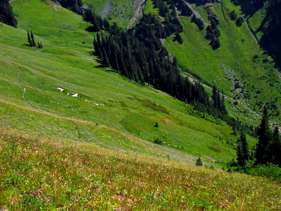 Tatoosh Wilderness in WA