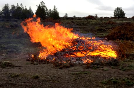 Prescribed Wildland Fire Burn photo